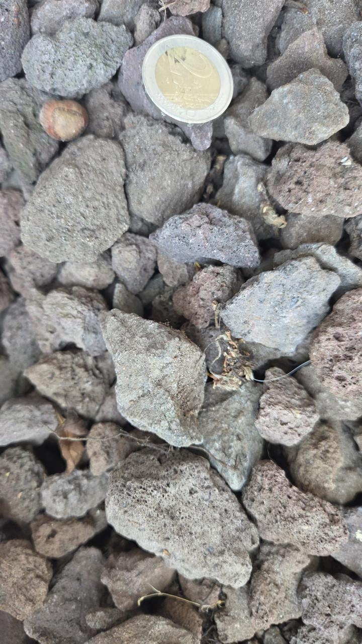 Lava stenen voor tuin of decoratie