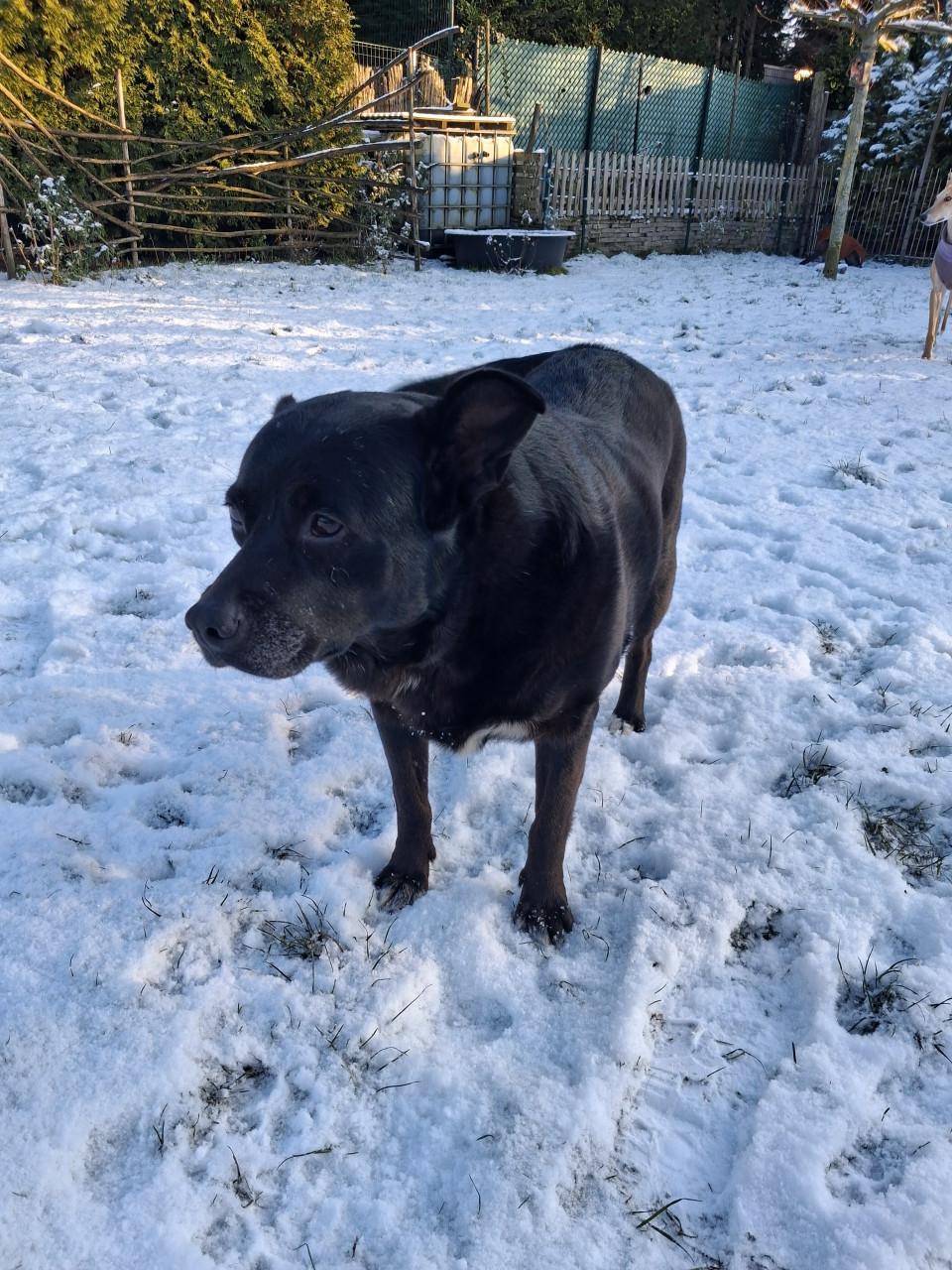 Ter adoptie Sally 6 jaar