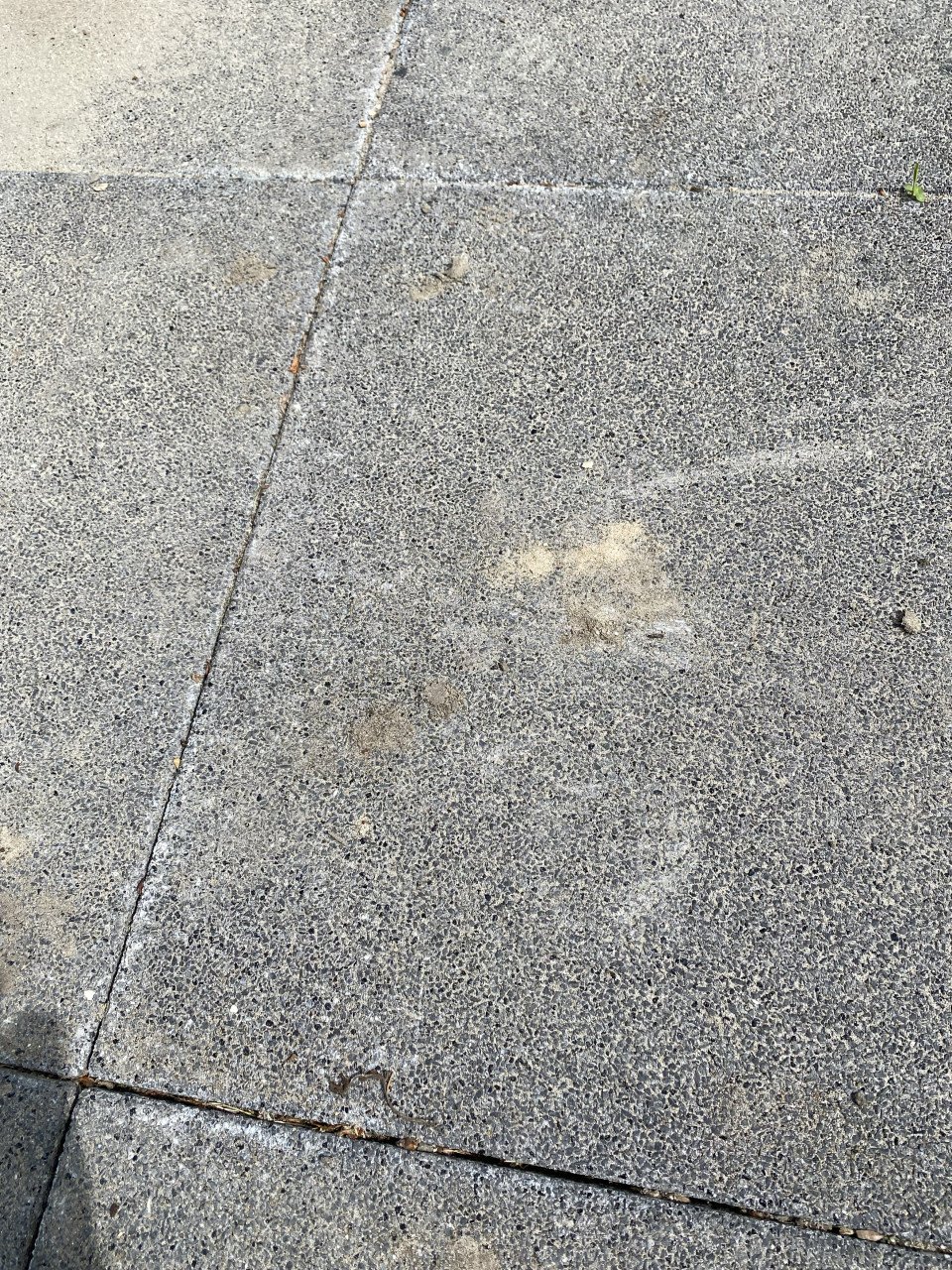 Gratis af te halen 30 betontegels 50 x 50 x 5 cm.