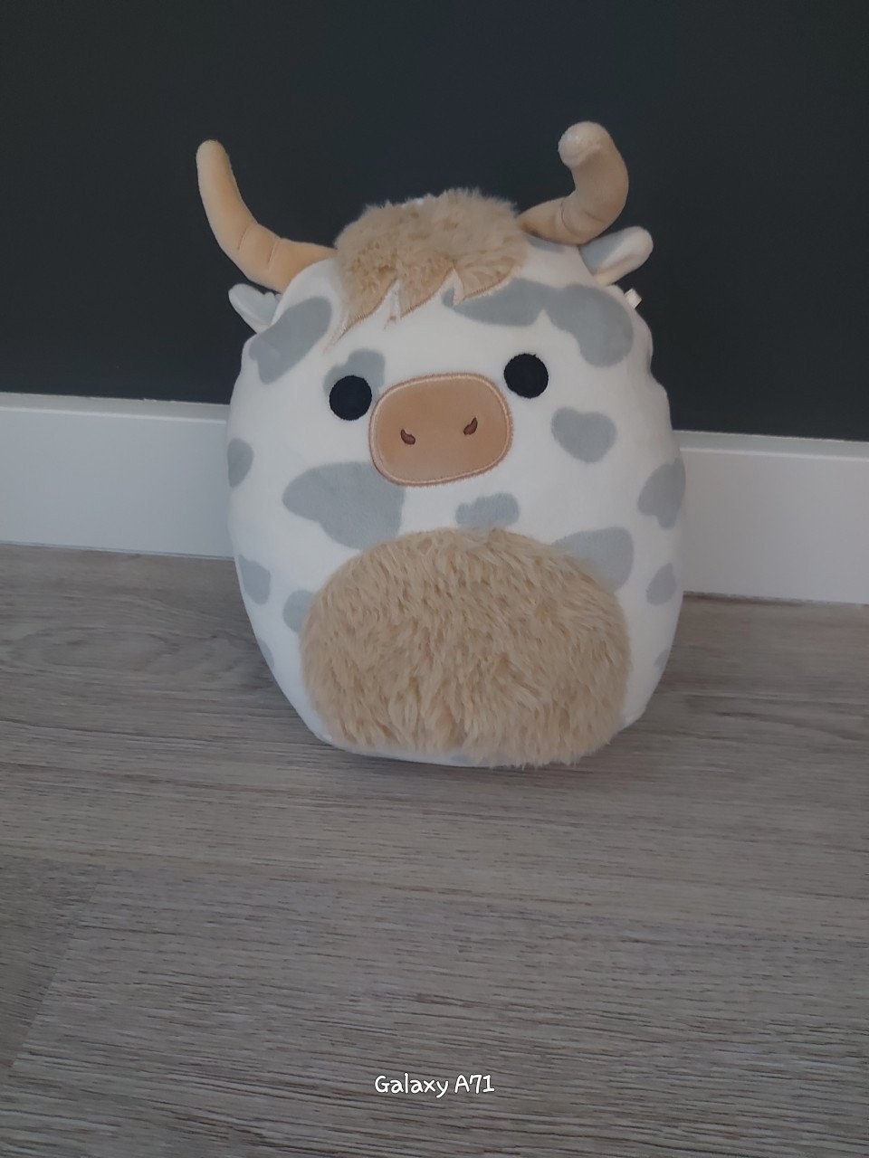 Squishmallows medium size