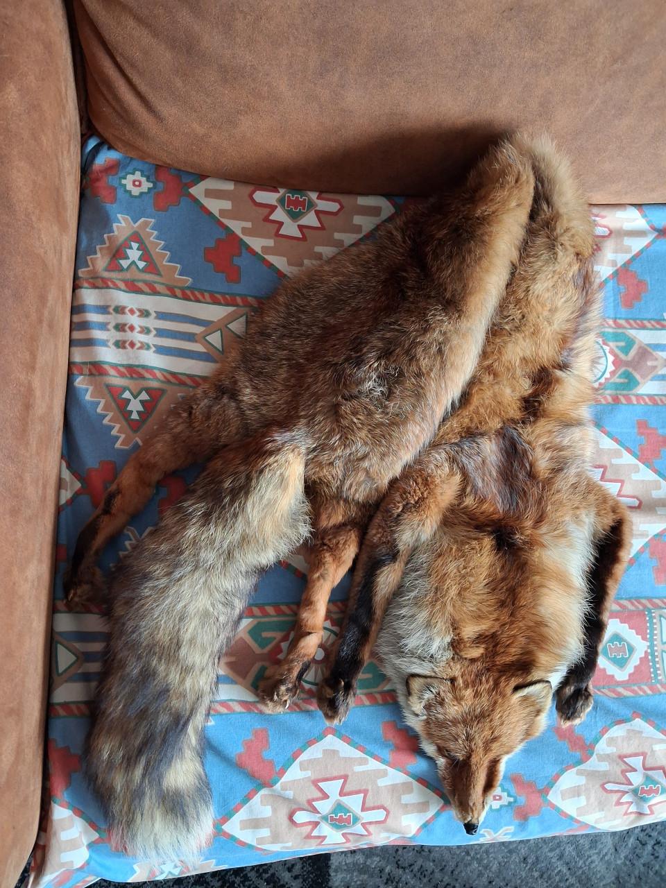 Vos stola en nertsenbont stola