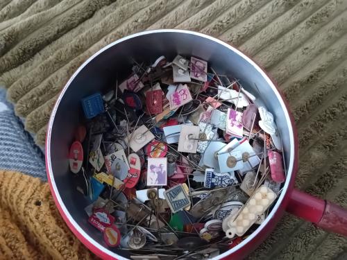 Speldjes /pins