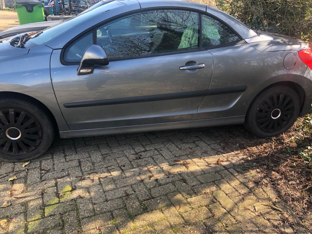 Peugot 207