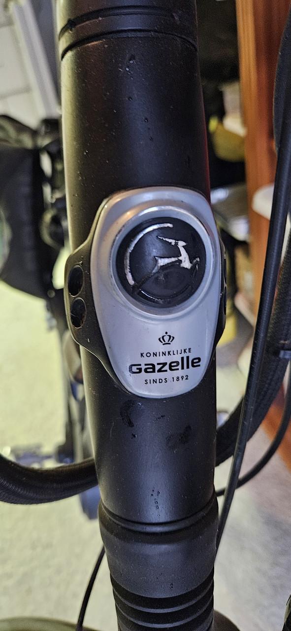 Gazelle Speedpedelec