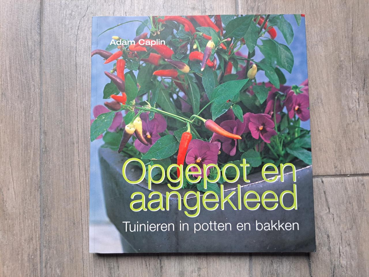 Opgepot en aangekleed/ Tuinieren in potten en bakken