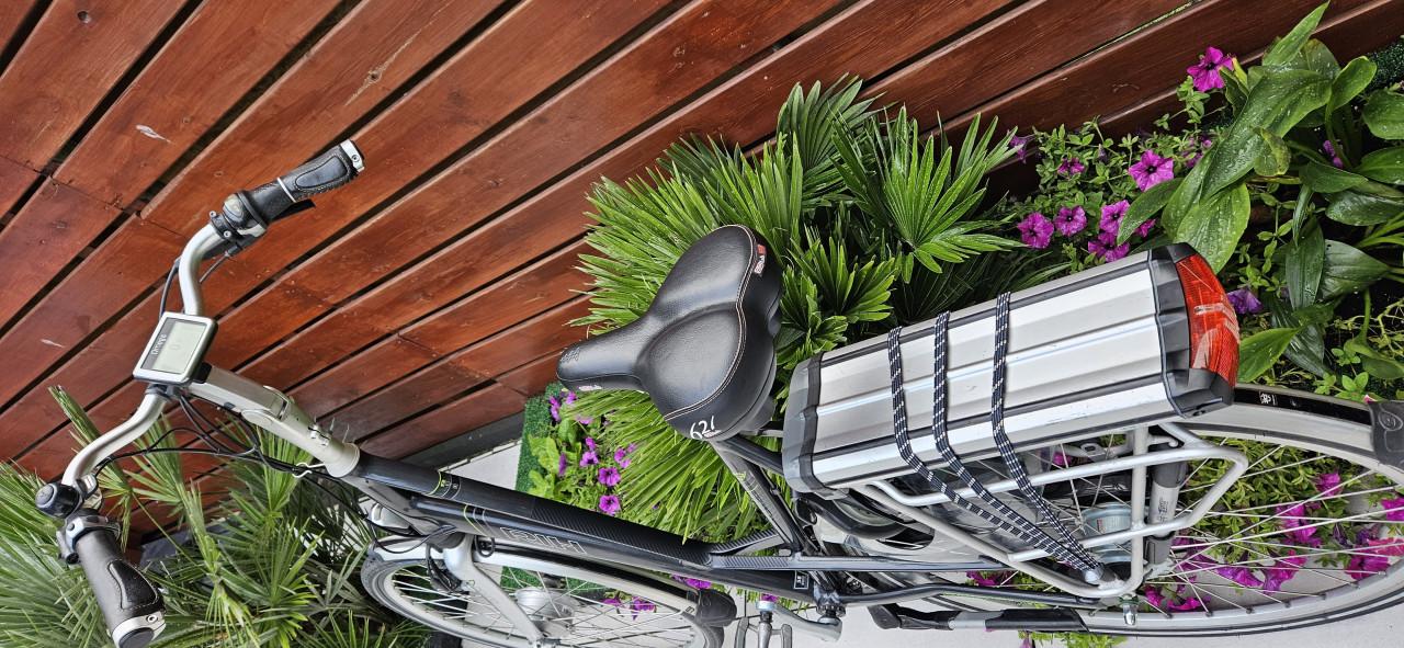 RIH eBike Elektrische Damesfiets