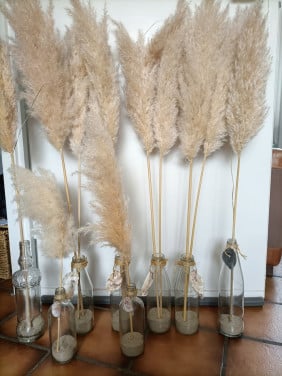 Pampas gras pluimen in flessen met schelpen/ oester decoratie.
