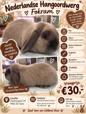 Lieve prachtige NHD ram