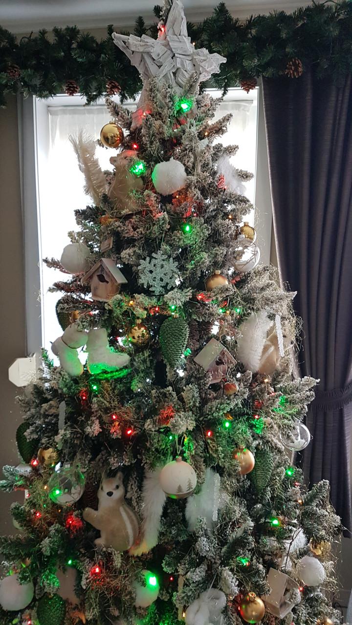 Kerstboom besneeuwd