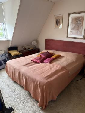 Tweepersoonsbed elektrische