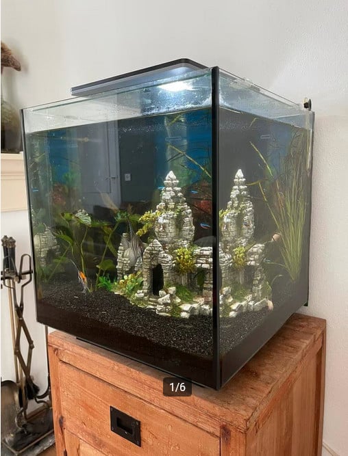 Superfish Qubiq 60 pro
