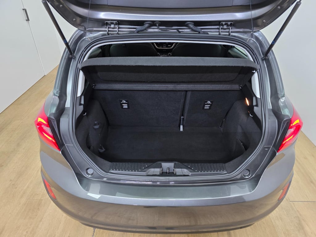 Ford Fiesta occasion 1.0 ecoboost titanium met cruisecontrol en carplay rad