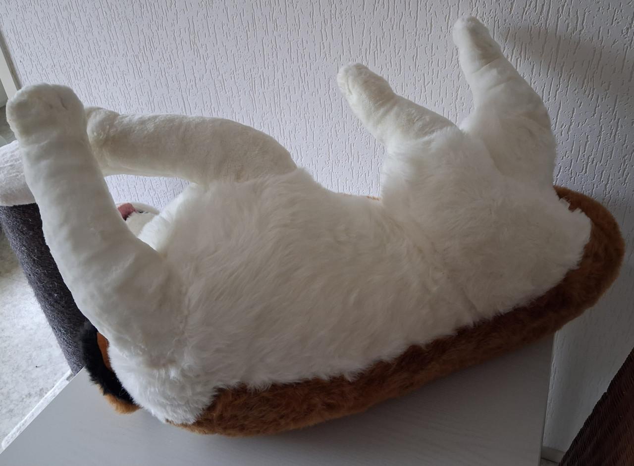 Grote Sint Bernard knuffel 85cm