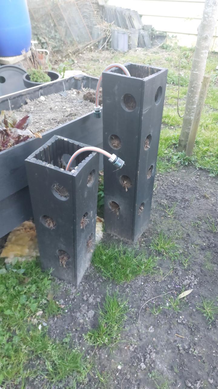 Bak voor aardbeien planten