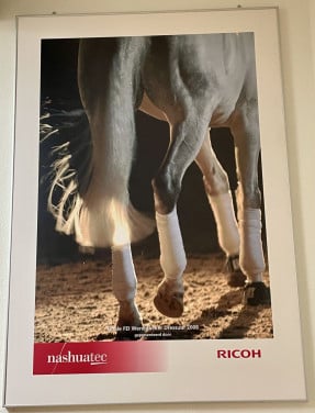 Paard poster