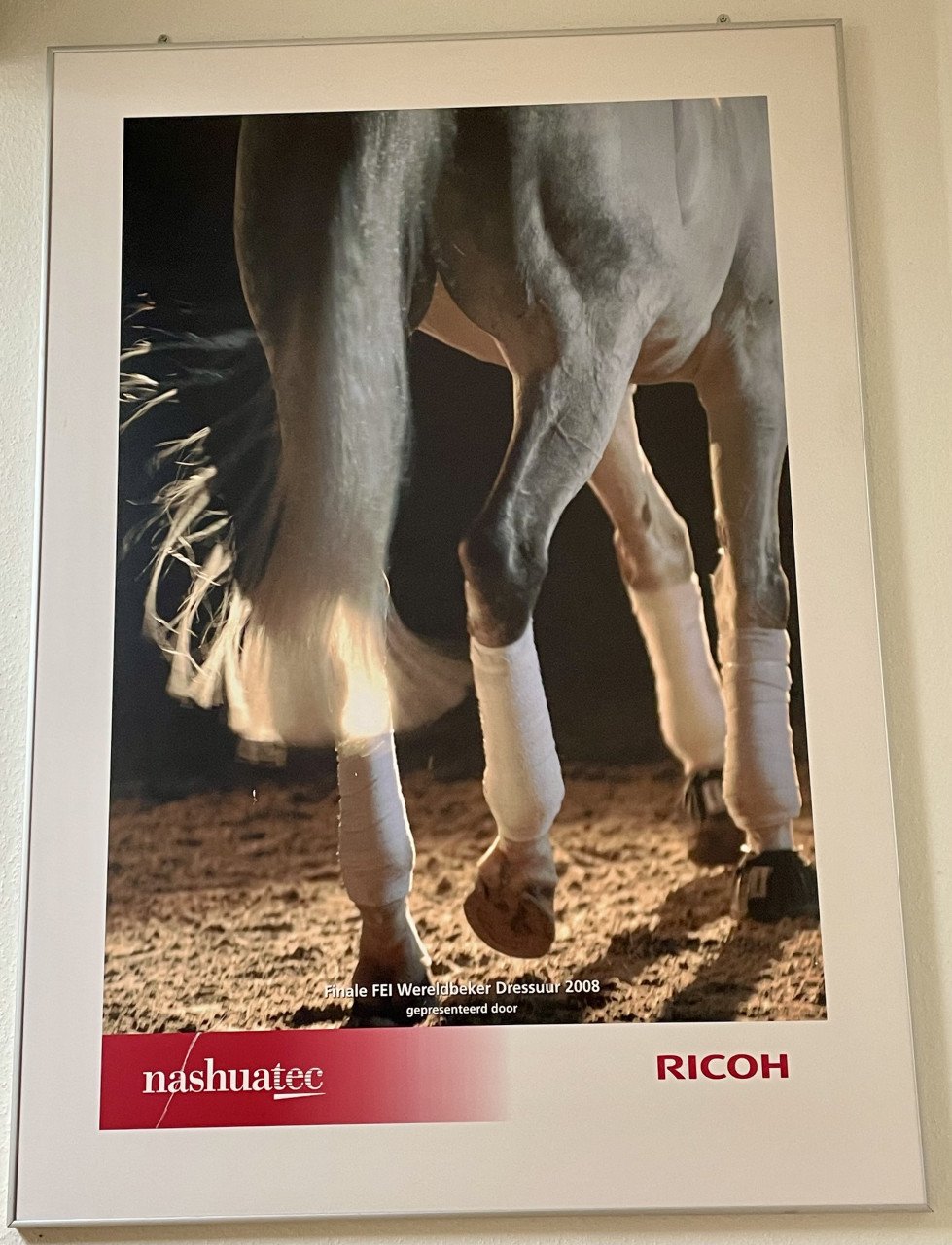 Paard poster
