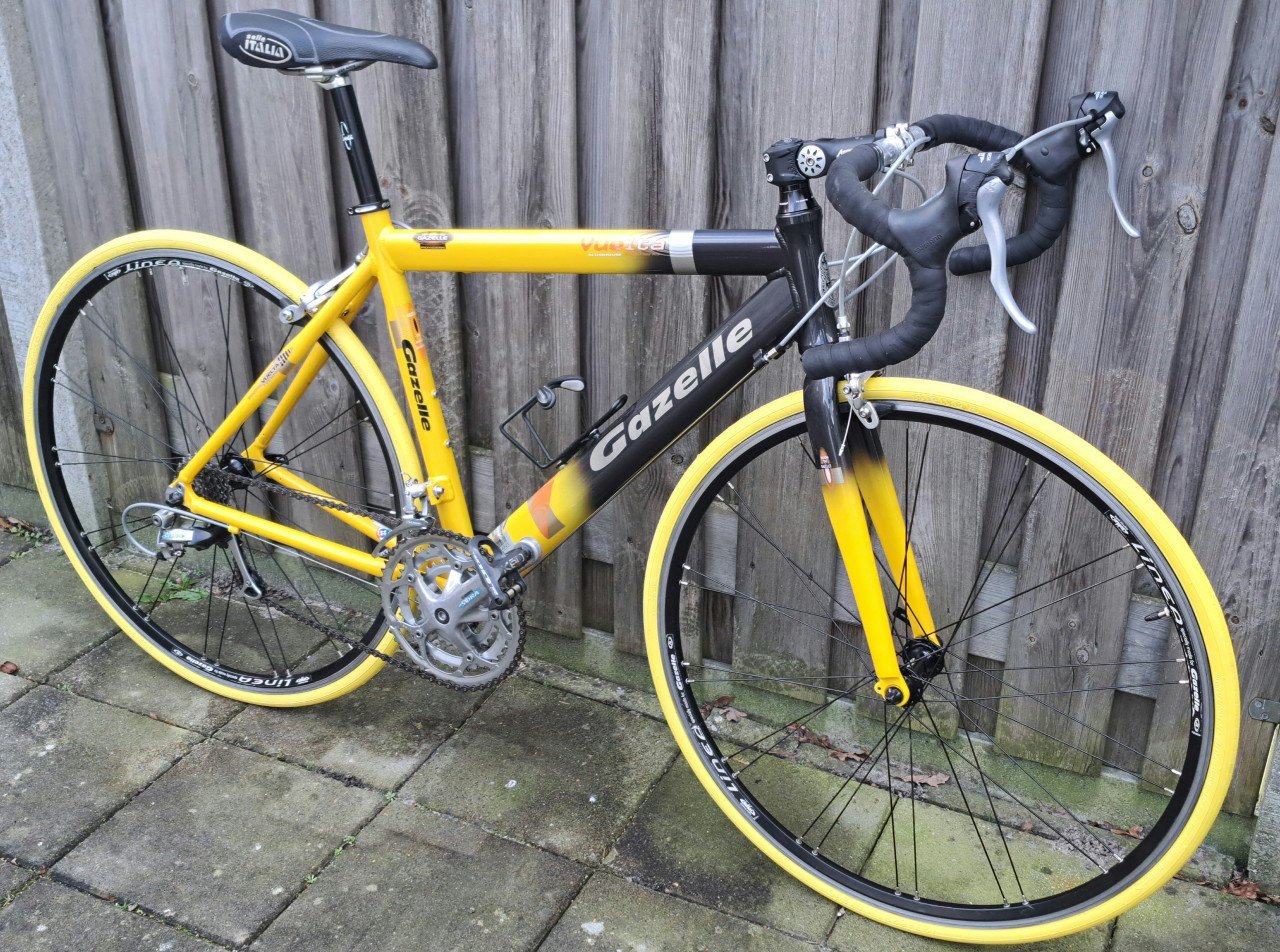 GAZELLE VUELTA