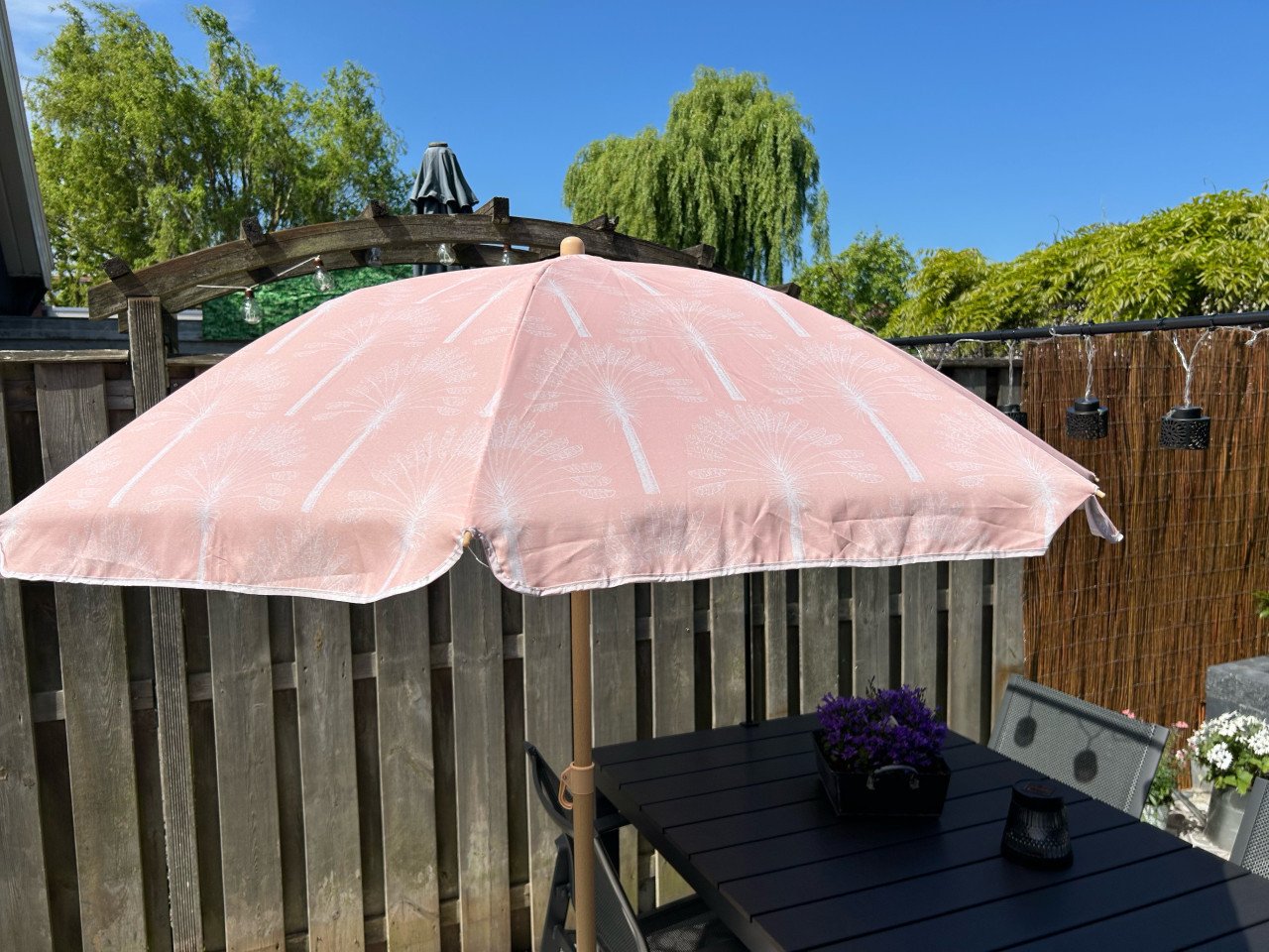 Parasol
