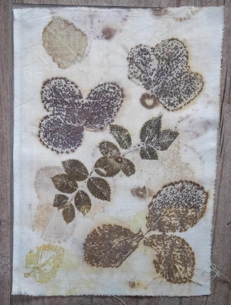 Wandelen, Wildplukken en Ecoprinten