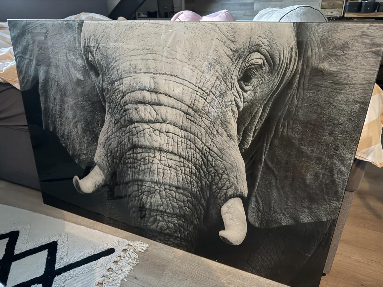 Olifant schilderij