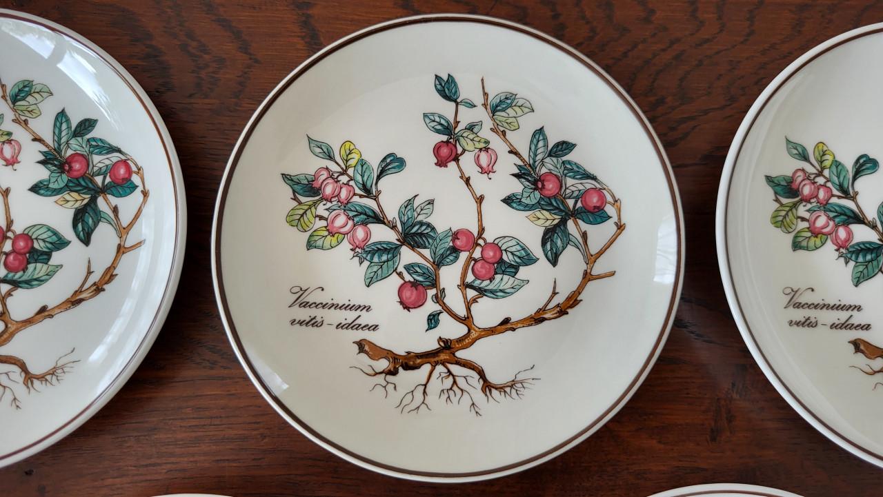 Set v 7 Villeroy & Boch Botanica petit four bordjes - NIEUW