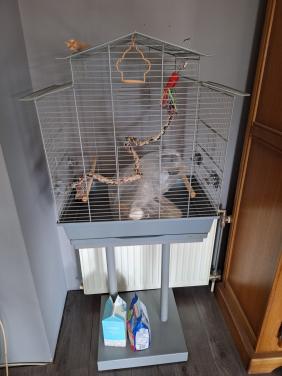 Vogelkooi op standaart