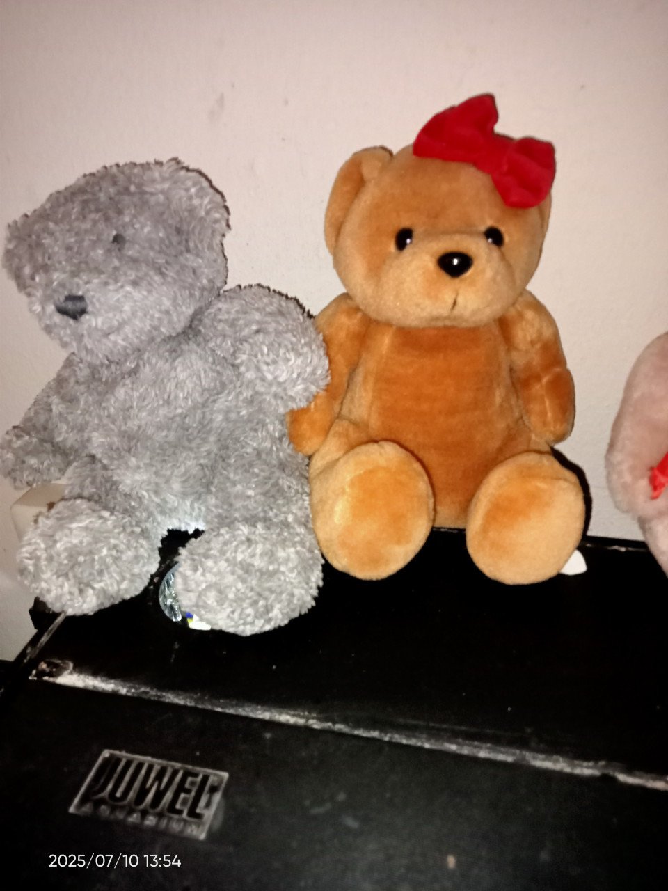 Knuffel beren en beesten