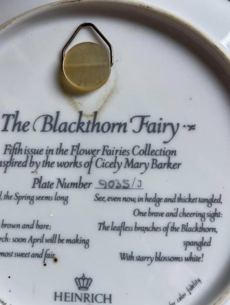 Prachtige wandbord uit de 'Flower Fairies Collection'