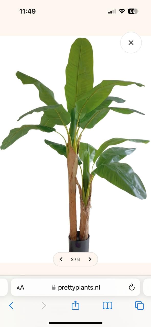 Zo goed als nieuwe kunstplant 160 cm