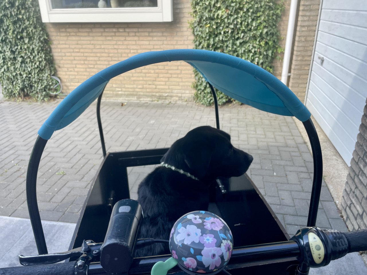 Cangoo bakfiets