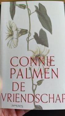 Boeken bundel volwassenen met o.a. Marion Pauw, Carry Slee en Connie Palmen