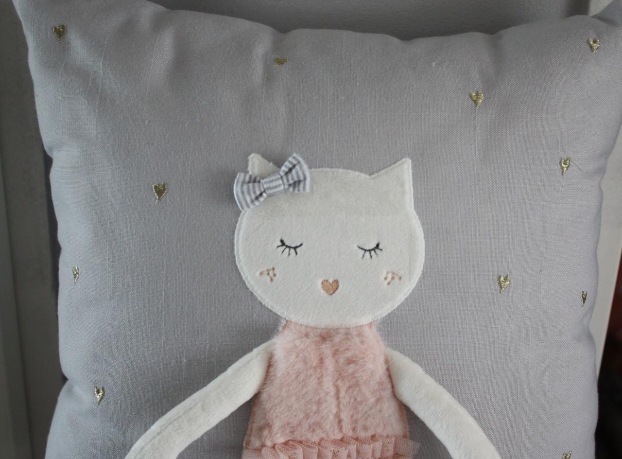 Leuk kussen met poes