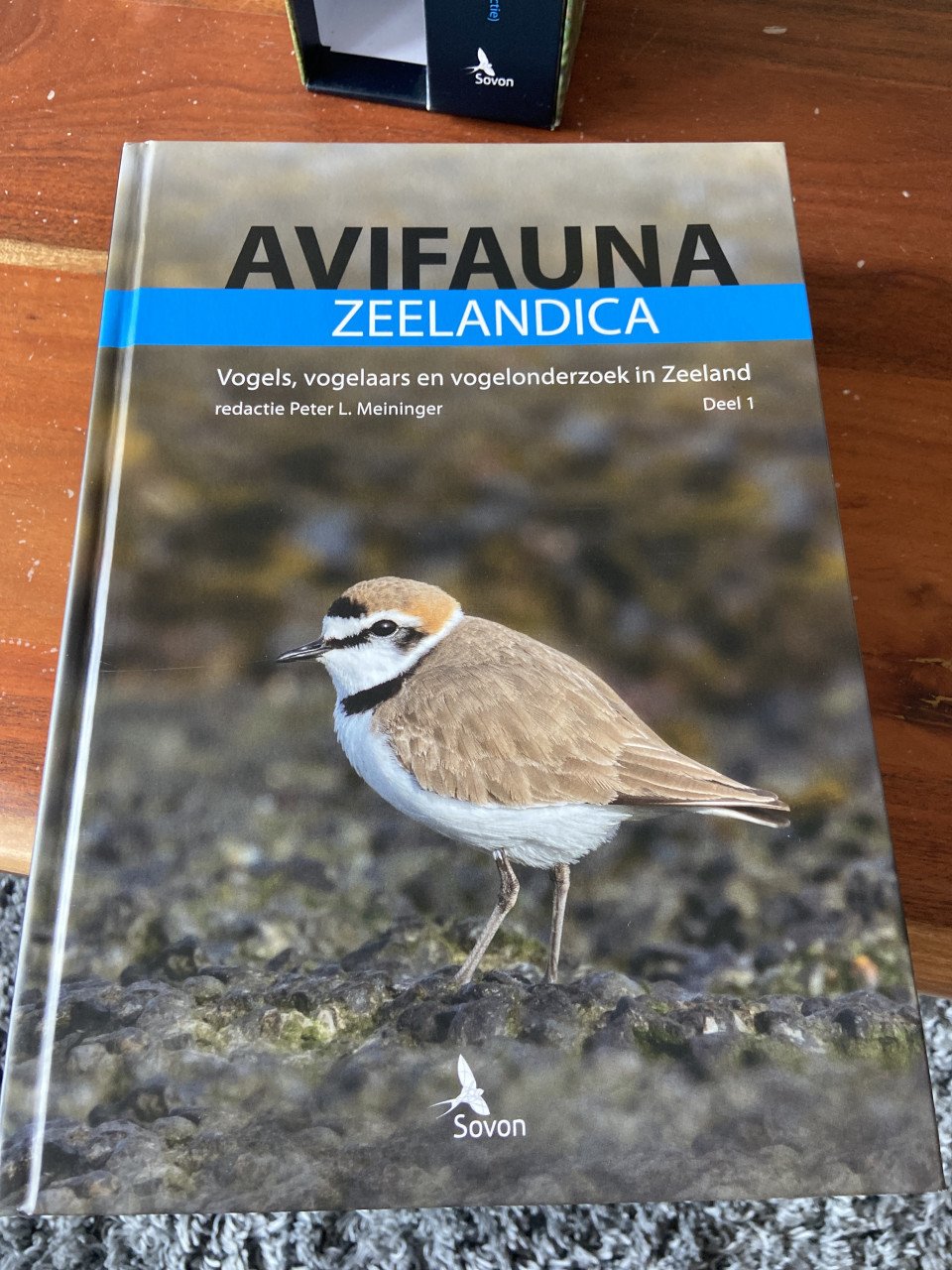 Avifauna zeelandica