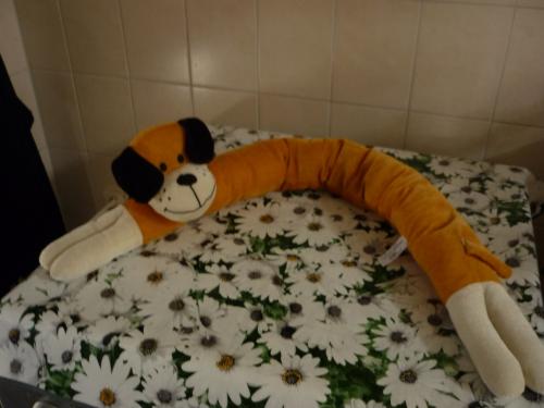 TOCHTSTOPPER HOND