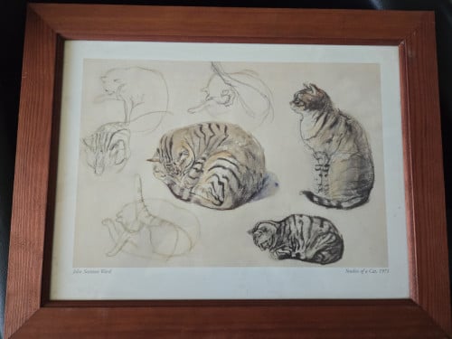 Kat van kunstenaar John Stanton Ward - Studies van een kat ingelijst 1971
