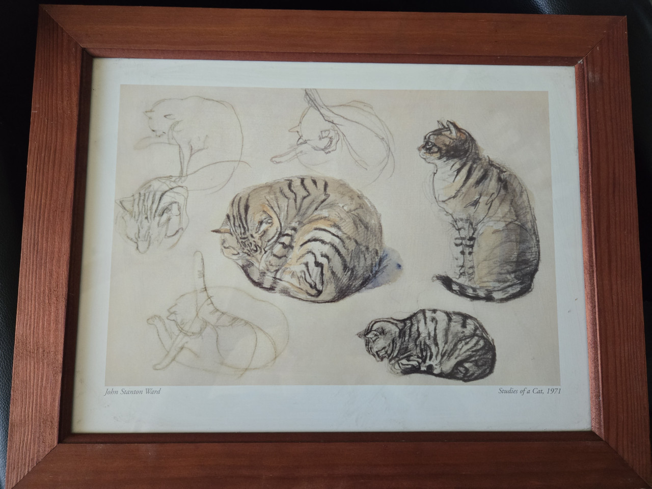Kat van kunstenaar John Stanton Ward - Studies van een kat ingelijst 1971