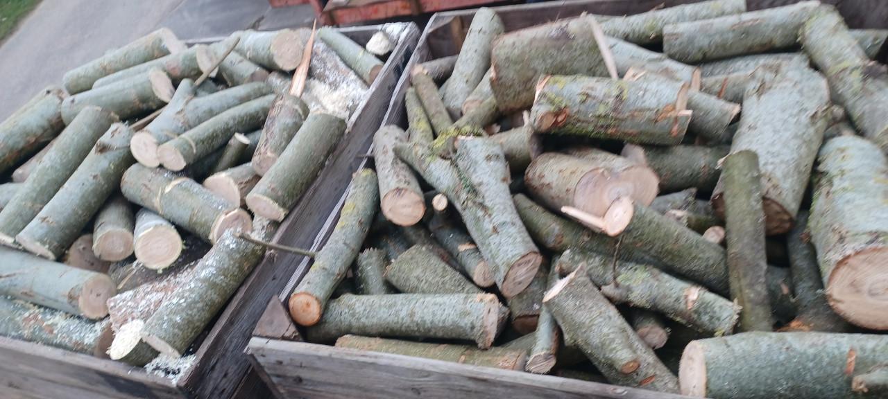 HAARDHOUT perenhout of wilgenhout, gekliefd/ongekliefd