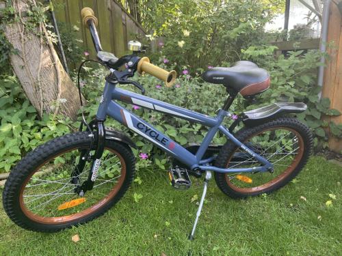 Jongensfiets 2 cycle 20 inch. 65 Euro
