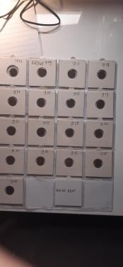 Halve centen 1903-1940