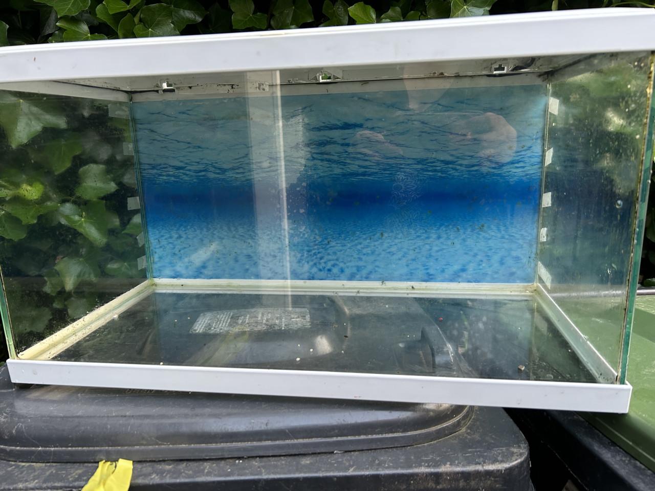 Aquarium met toebehoren