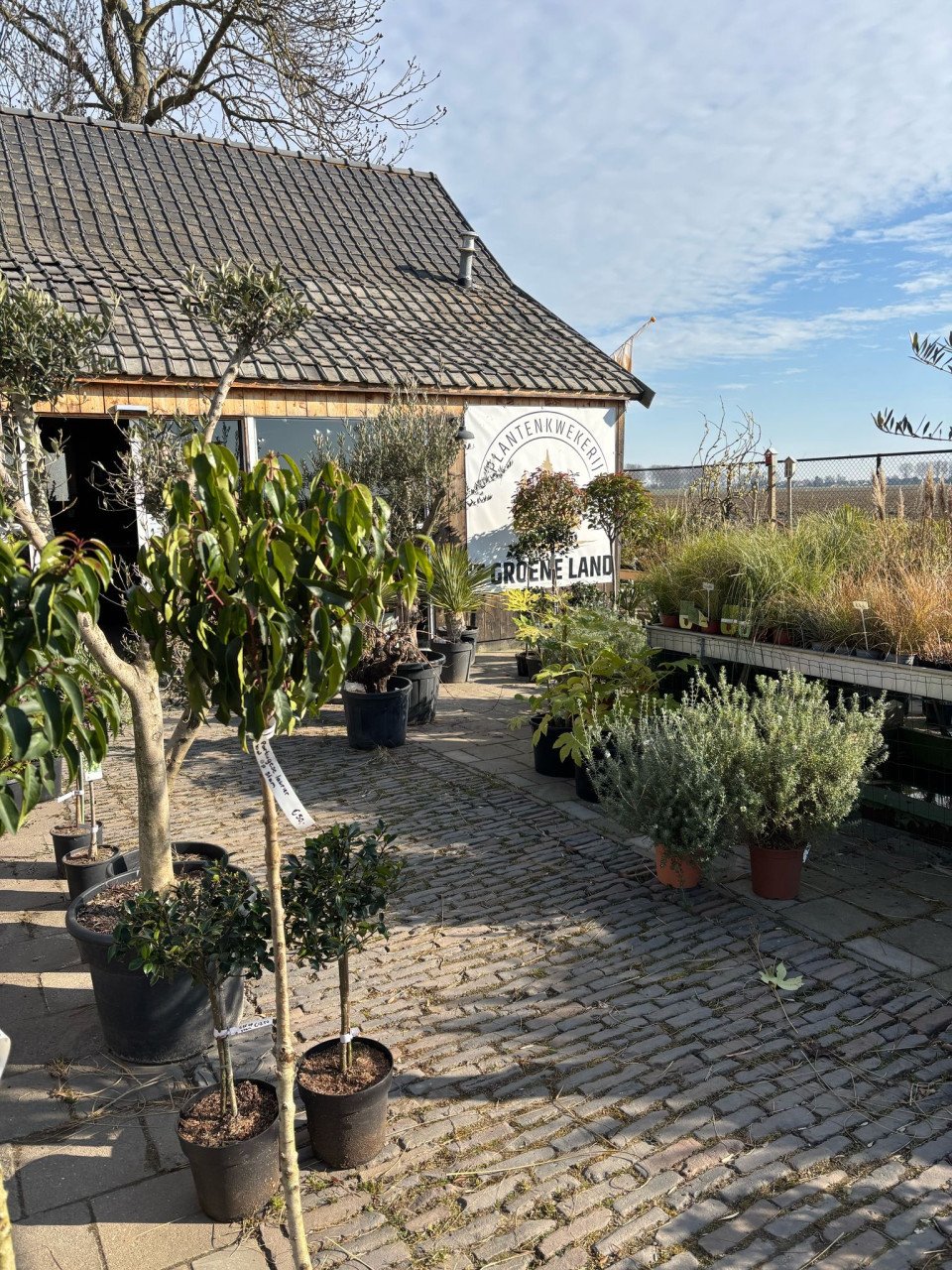 PLANTENKWEKERIJ ‘t GROENE LAND