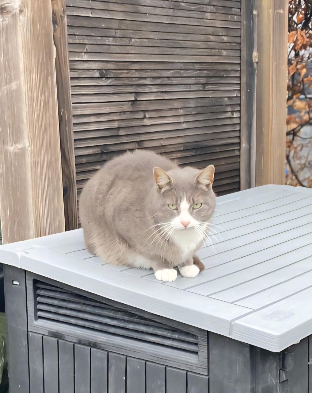 4 sterrenhuisje gezocht!