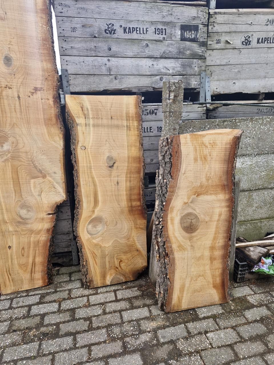 Boomstamplanken