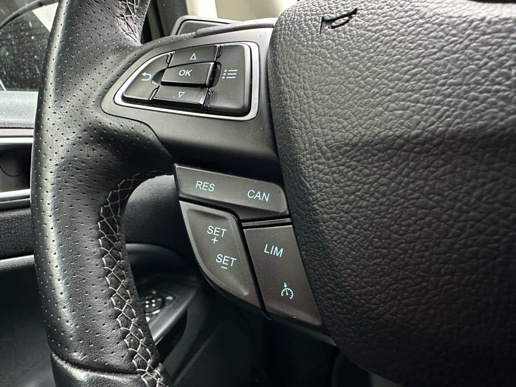 Ford Ecosport ecosport 1.0 ecoboost titanium // veel opties! //