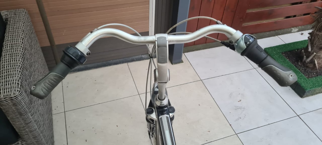 Gazelle Chamonix Excellent 65 cm
