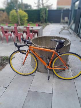 Dames racefiets in uitstekende staat. Gazelle PrimaVera maat 44.