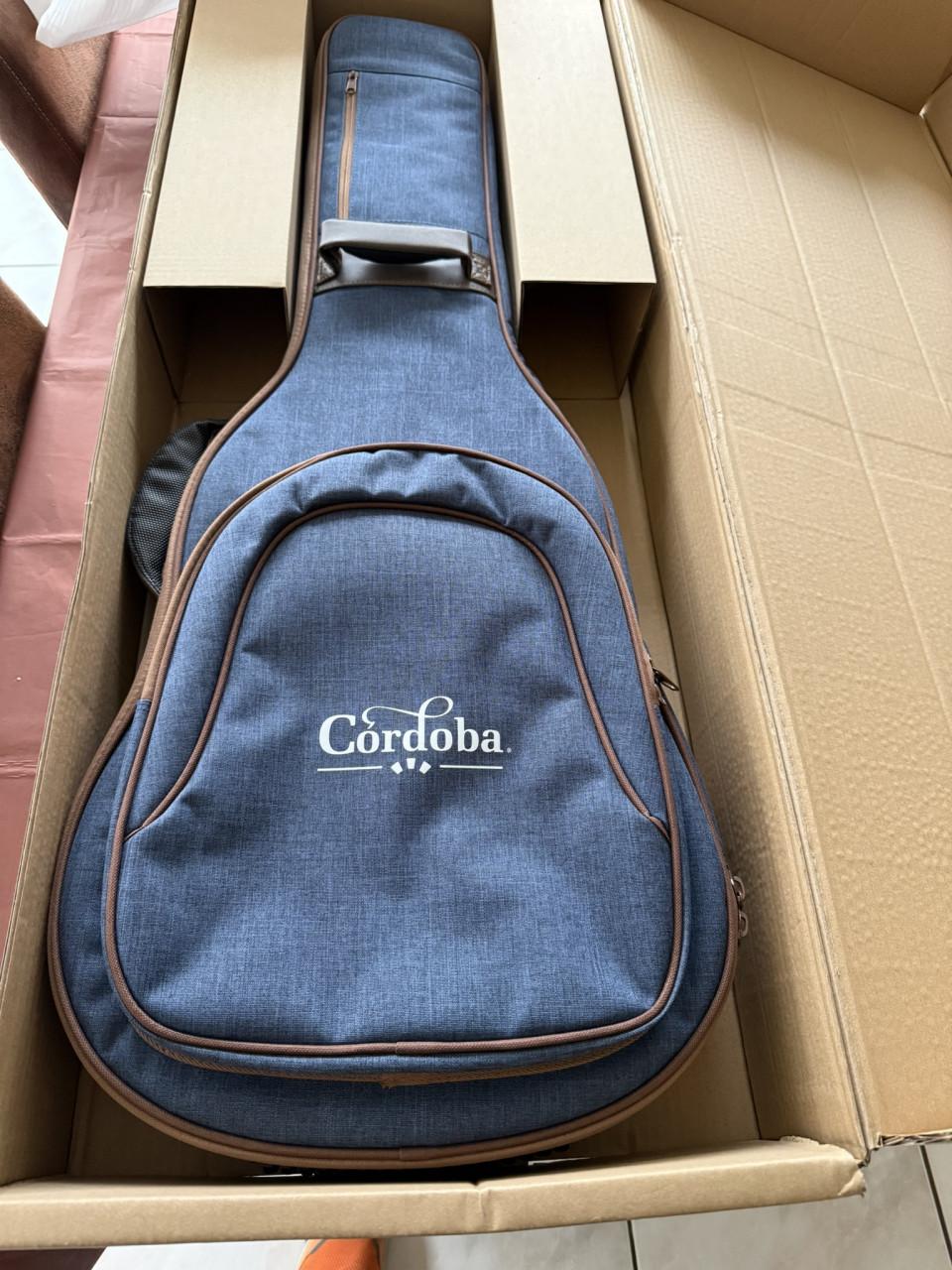 Te koop aangeboden: Cordoba Semi Acoustische gitaar