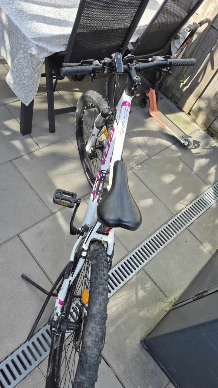 Fiets