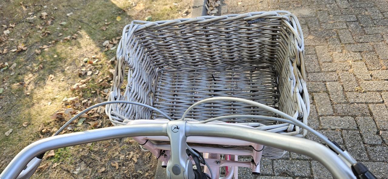 Gazelle Miss Grace Unieke Roze damesfiets
