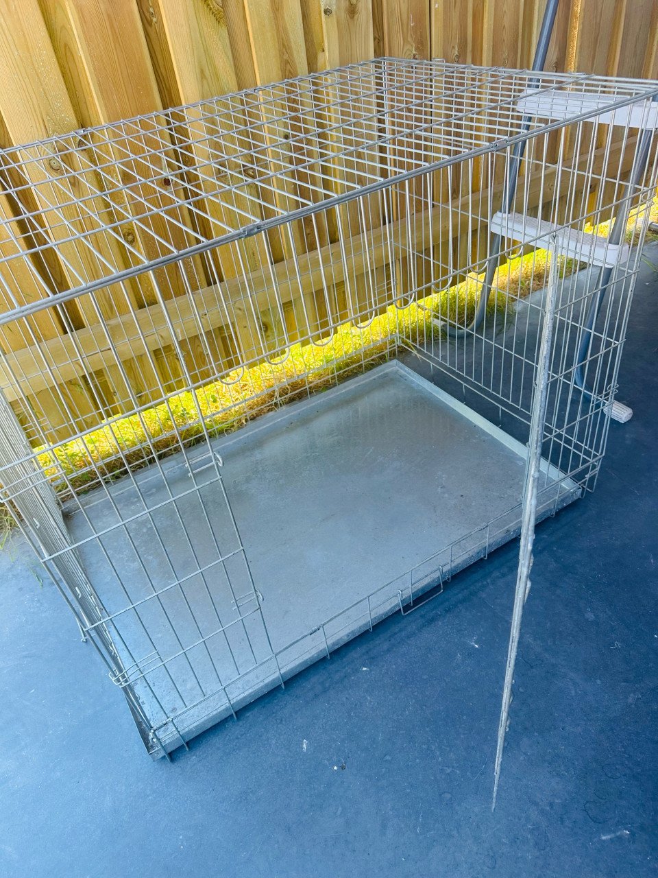 Grote hondenbench